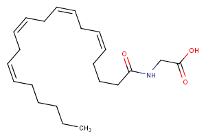 N-Arachidonylglycine图片