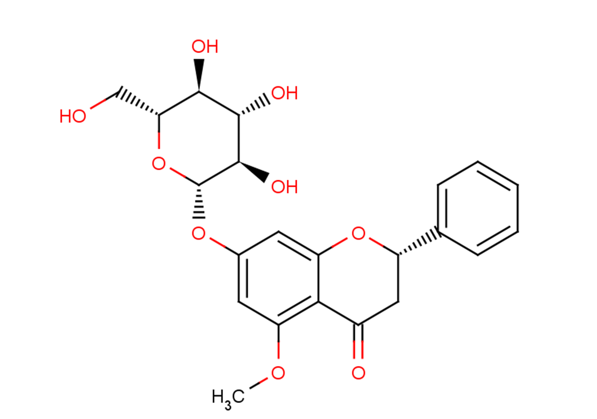 5-MethoxyPinocembroside图片