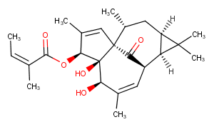 20-Deoxyingenol 3-angelate图片