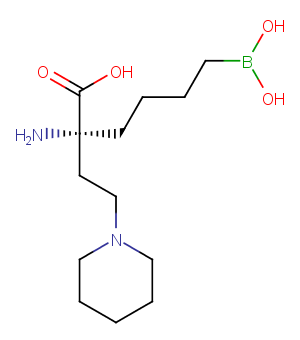 Arginase inhibitor 1图片