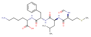 N-Formyl-Met-Leu-Phe-Lys图片