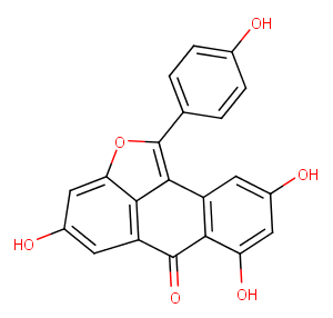 Diptoindonesin G图片
