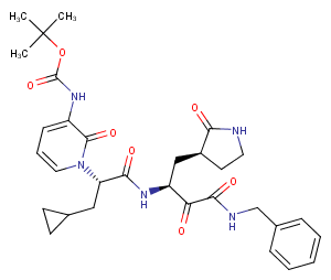 SARS-CoV-2-IN-1图片