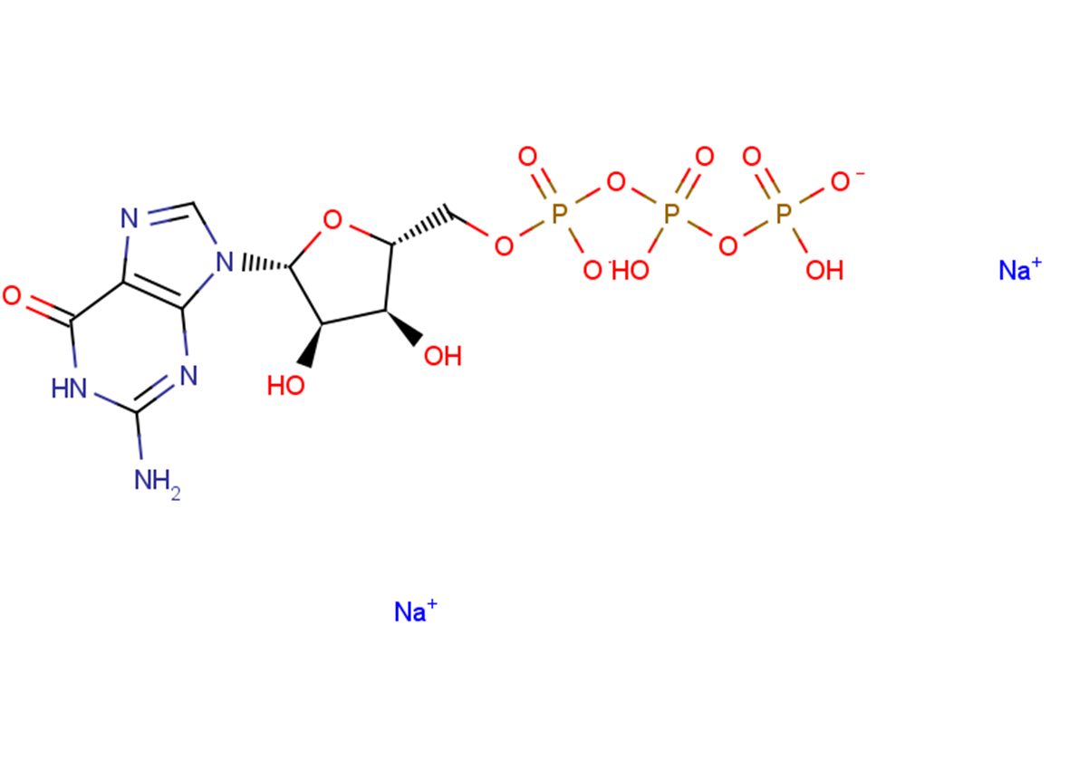Guanosine-5'-triphosphate disodium salt图片