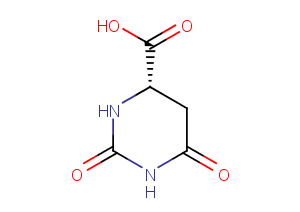 L-Dihydroorotic acid图片
