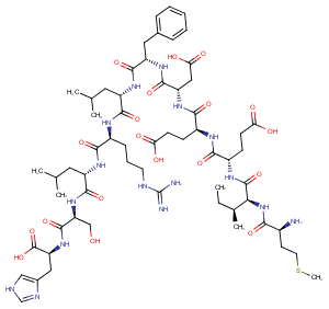 PHYD protein,Arabidopsis图片