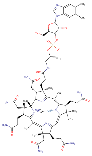 Vitamin B12图片