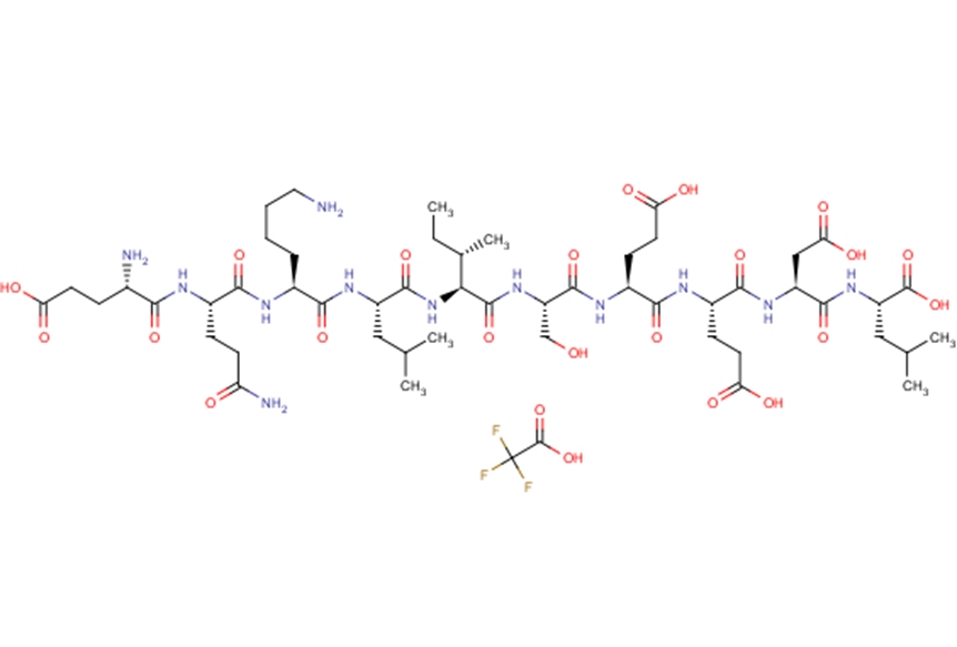 c-Myc Peptide Trifluoroacetate图片