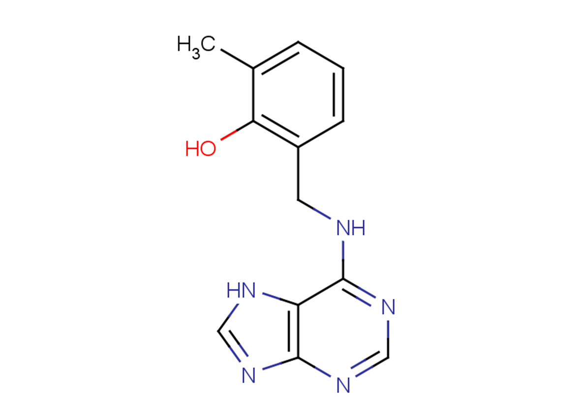 PI-55图片