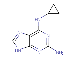 2-Amino-6-cyclopropylamino-9H-purine图片