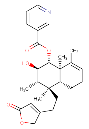 Scutebarbatine Z图片