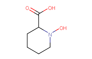 N-Hydroxypipecolic acid图片