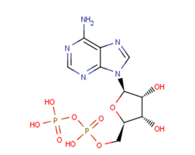 Adenosine 5'-diphosphate图片