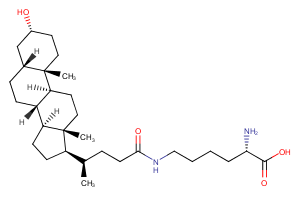 N-epsilon-Lithocholyllysine图片