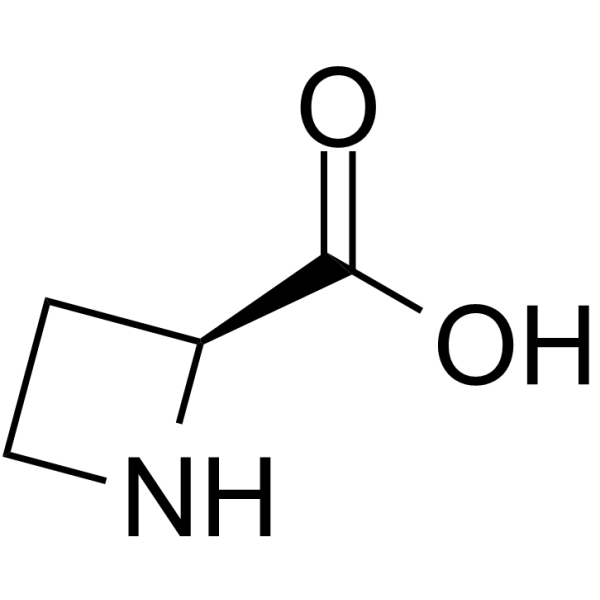 L-Azetidine-2-carboxylic acid图片