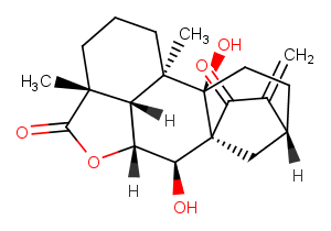 ent-7alpha,9-Dihydroxy-15-oxokaur-16-en-19,6bet-olide图片