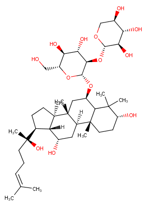 20(R)-Notoginsenoside R2图片