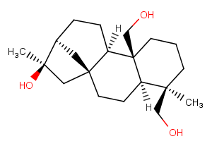 ent-Kaurane-16beta,19,20-triol图片