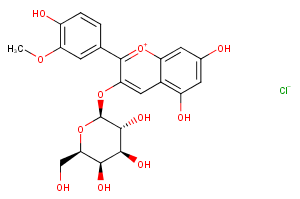 Peonidin-3-O-galactoside chloride图片
