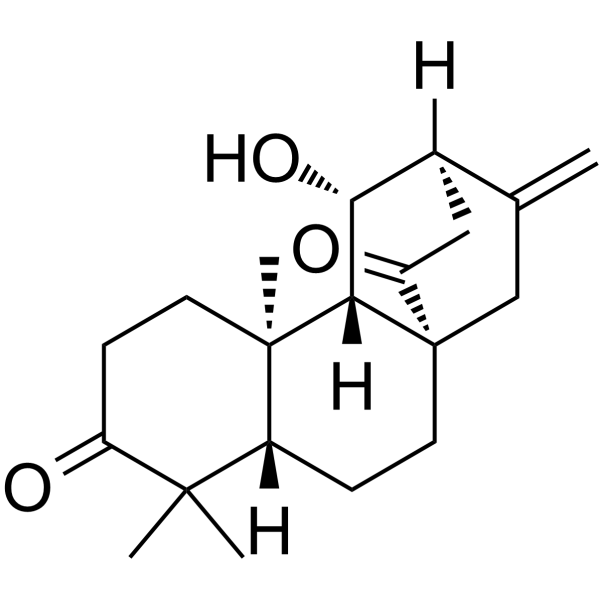 ent-11β-Hydroxyatis-16-ene-3,14-dione图片