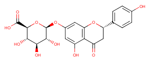 Naringenin-7-O-beta-D-glucuronide图片