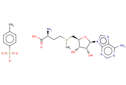 S-(5'-Adenosyl)-L-methionine tosylate图片