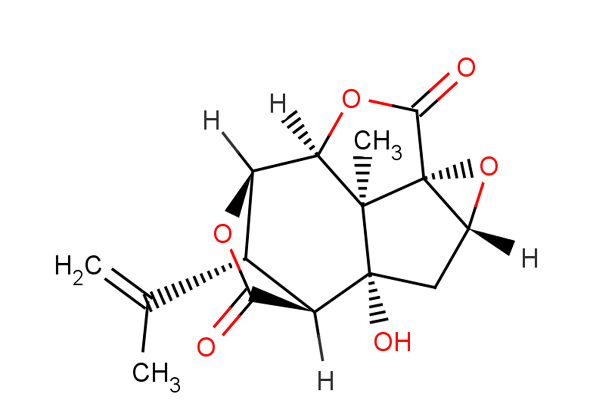 Picrotoxinin图片