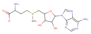 S-Adenosyl-L-methionine图片