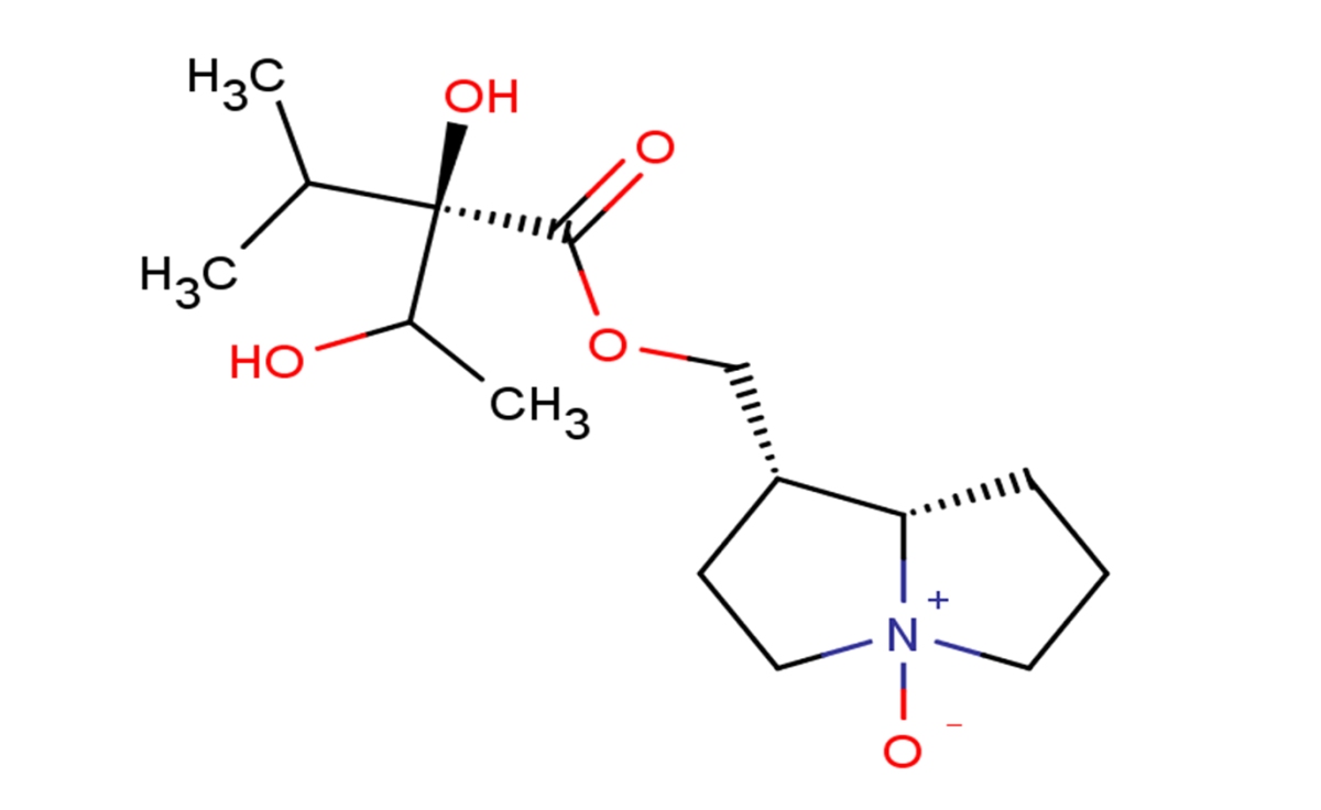 Trachelanthine图片