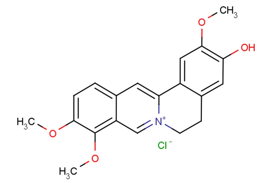 Jatrorrhizine Hydrochloride图片