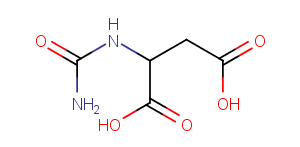 N-carbamoyl-DL-aspartic acid图片