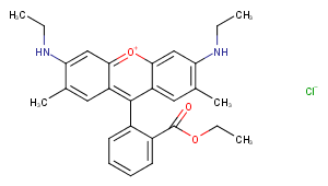 Rhodamine 6G图片