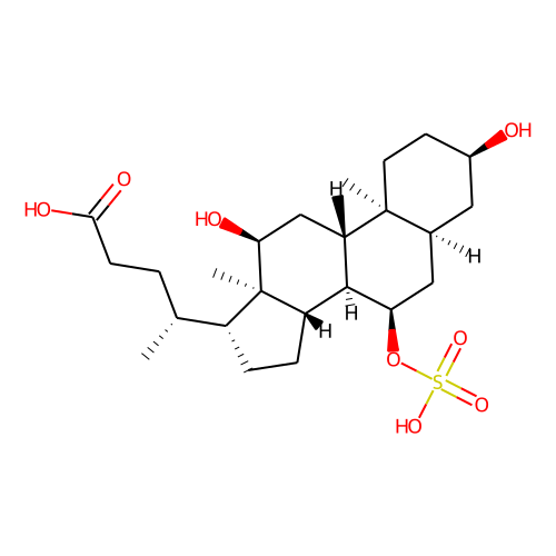 Cholic Acid 7-sulfate图片