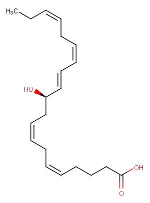 11(R)-HEPE图片