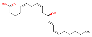 11(R)-HETE图片