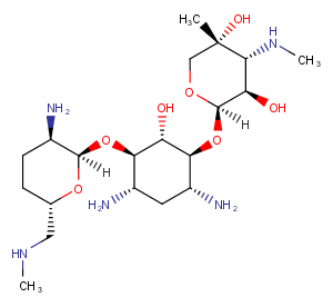 Micronomicin图片