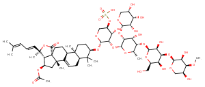 Cucumarioside H图片