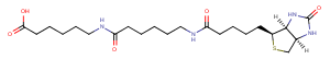 Biotin-C5-amino-C5-amino图片