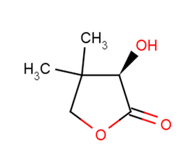 (R)-3-Hydroxy-4,4-dimethyldihydrofuran-2(3H)-one图片
