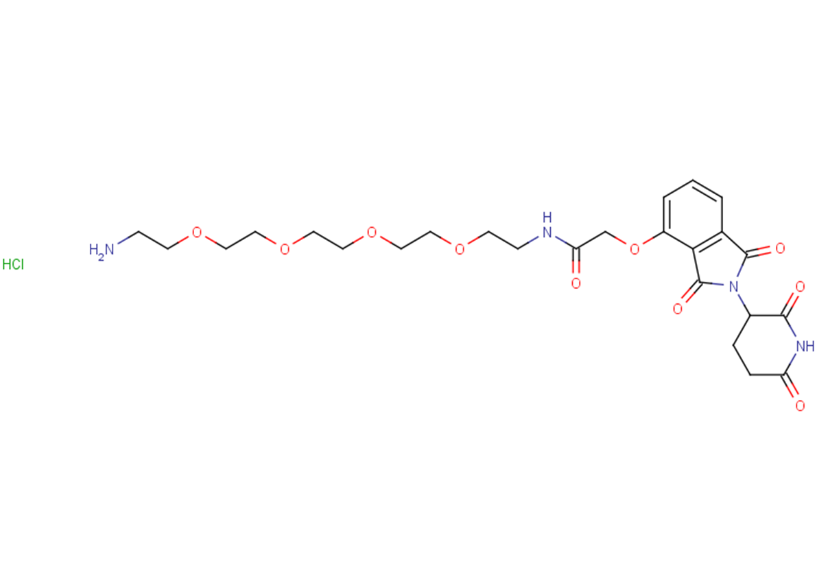 Thalidomide-O-amido-PEG4-C2-NH2 hydrochloride图片