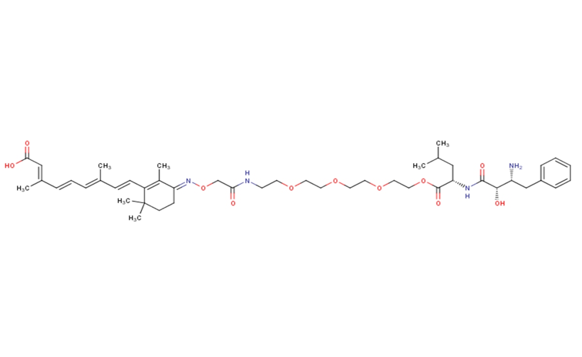 PROTAC CRABP-II Degrader-3图片