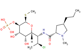 Clindamycin Phosphate图片