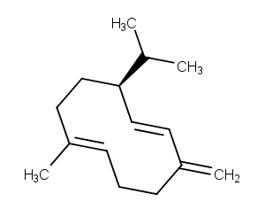 Germacrene D图片