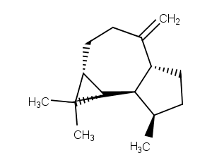 (+)-Aromadendrene图片
