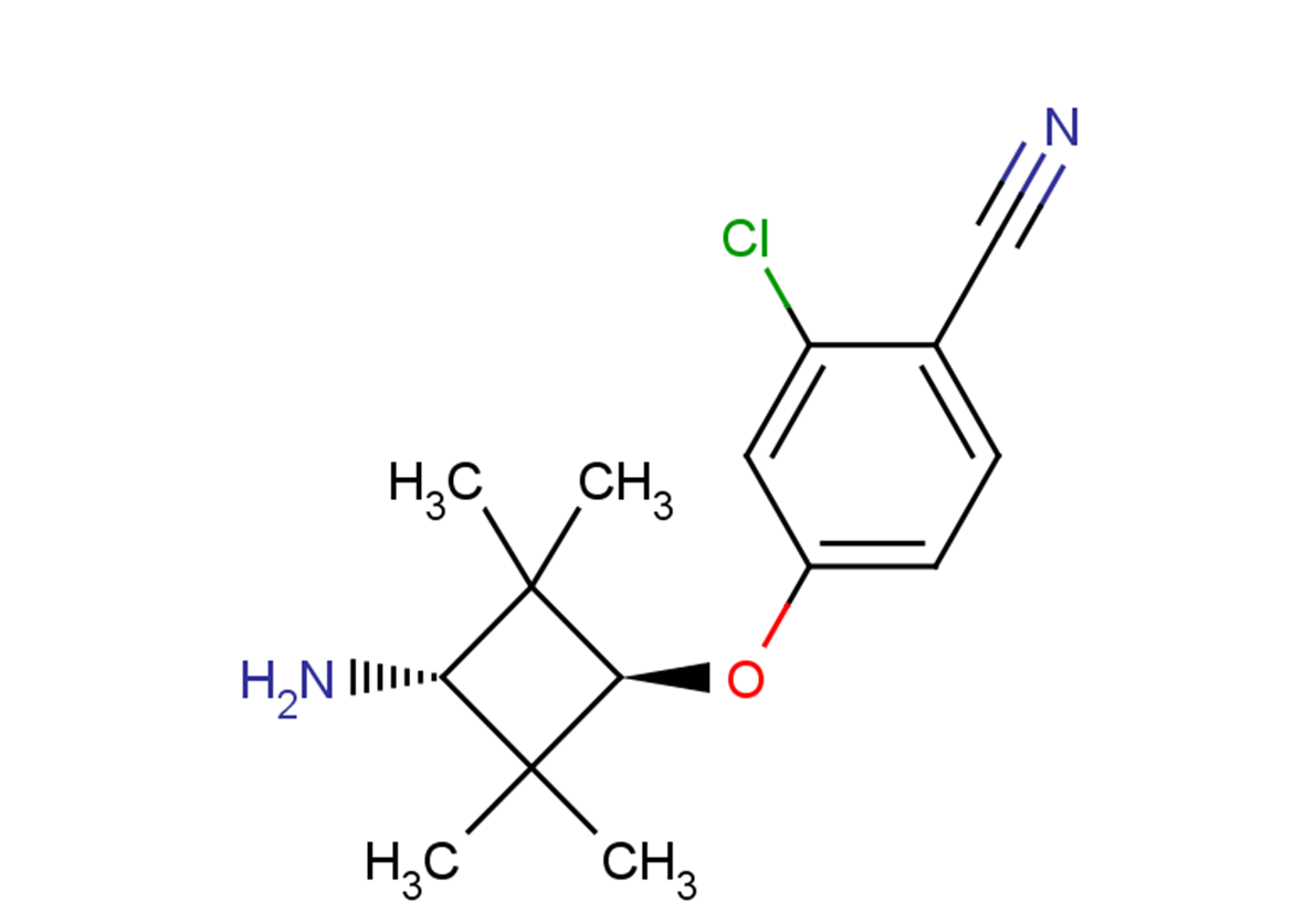 AR antagonist 1图片