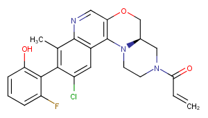 KRAS G12C inhibitor 16图片