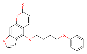 PAP-1图片