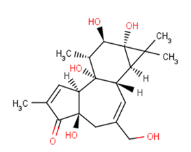 Phorbol图片