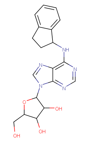 PD 117519图片