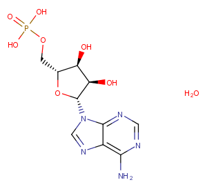 Adenosine 5'-monophosphate monohydrate图片